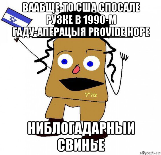 ваабще-то сша спосале рузке в 1990-м гаду-аперацыя provide hope ниблогадарныи свинье, Мем  ватник сионист