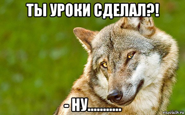 ты уроки сделал?! - ну...........