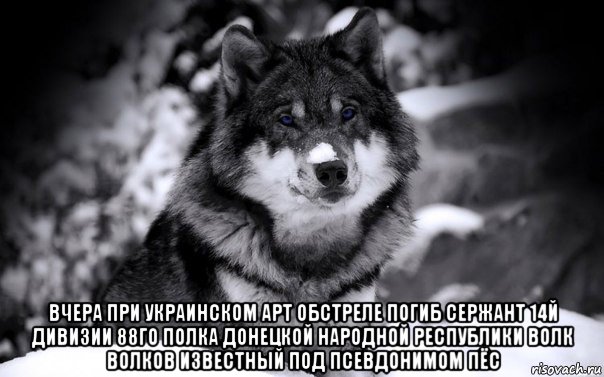  вчера при украинском арт обстреле погиб сержант 14й дивизии 88го полка донецкой народной республики волк волков известный под псевдонимом пёс, Мем ВОЛК