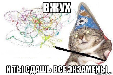 вжух и ты сдашь все экзамены, Мем Вжух мем