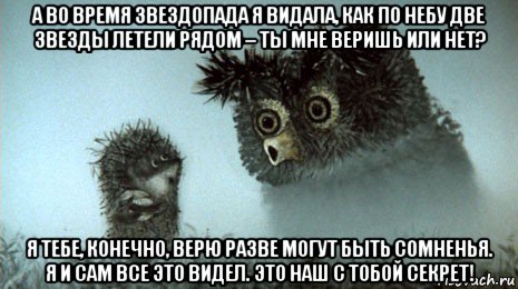 а во время звездопада я видала, как по небу две звезды летели рядом – ты мне веришь или нет? я тебе, конечно, верю разве могут быть сомненья. я и сам все это видел. это наш с тобой секрет!