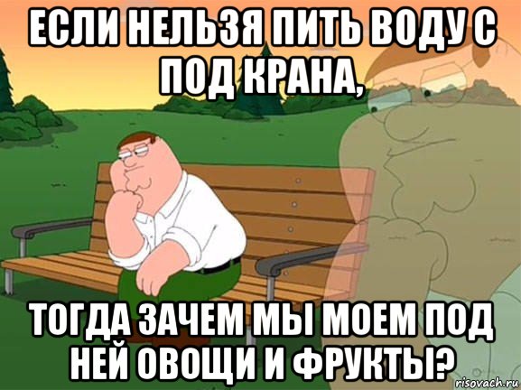 если нельзя пить воду с под крана, тогда зачем мы моем под ней овощи и фрукты?, Мем Задумчивый Гриффин