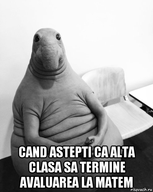  cand astepti ca alta clasa sa termine avaluarea la matem, Мем  Ждун