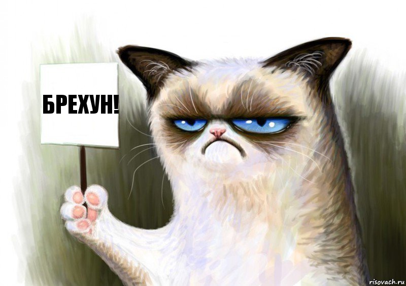 Брехун!, Комикс Сварливый кот с табличкой