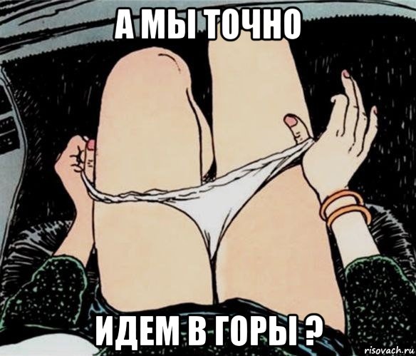 а мы точно идем в горы ?, Мем А ты точно