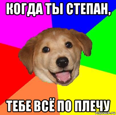 когда ты степан, тебе всё по плечу, Мем Advice Dog