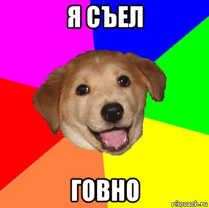 я съел говно, Мем Advice Dog