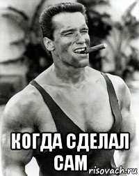  когда сделал сам, Мем  Арнольд Шварценеггер с сигарой