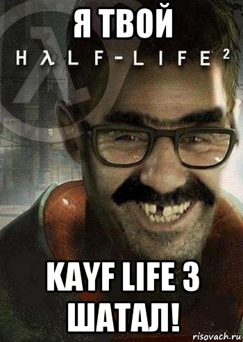 я твой kayf life 3 шатал!