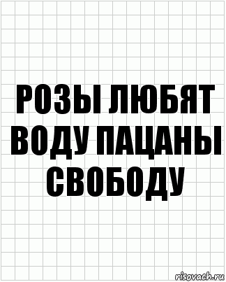 РОЗЫ ЛЮБЯТ ВОДУ ПАЦАНЫ СВОБОДУ, Комикс  бумага