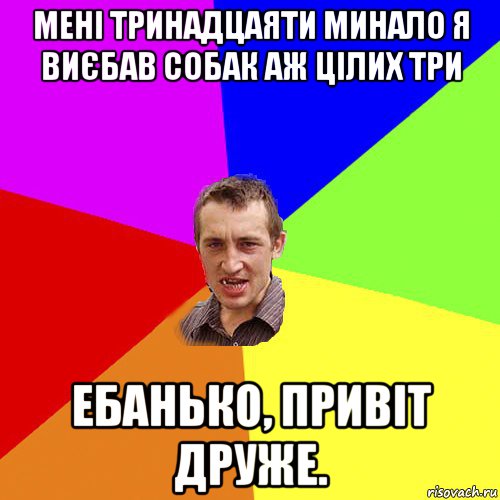 мені тринадцаяти минало я виєбав собак аж цілих три ебанько, привіт друже., Мем Чоткий паца