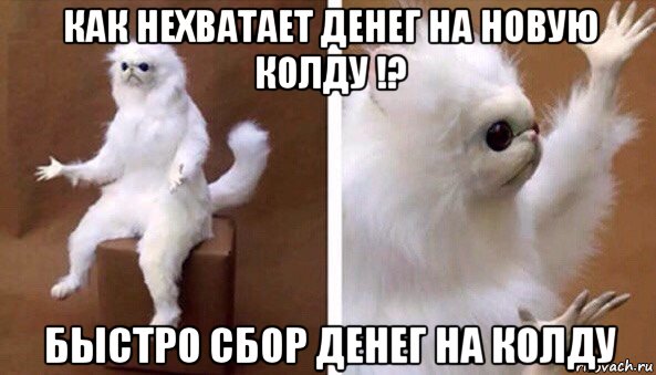 как нехватает денег на новую колду !? быстро сбор денег на колду, Мем Чучело кота