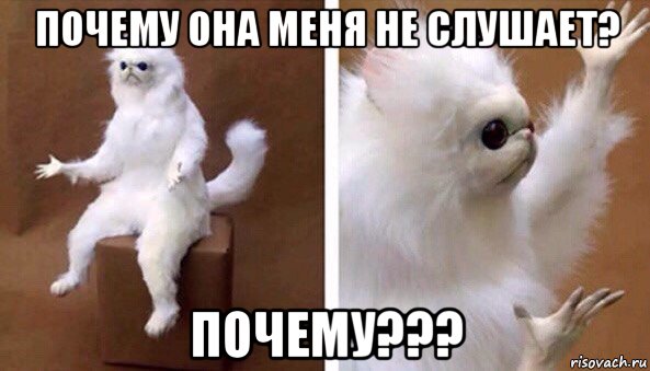 почему она меня не слушает? почему???, Мем Чучело кота