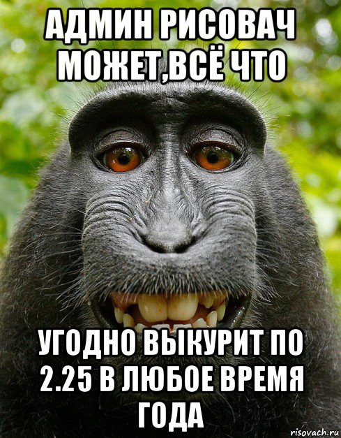 админ рисовач может,всё что угодно выкурит по 2.25 в любое время года