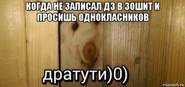 когда не записал дз в зошит и просишь однокласников 