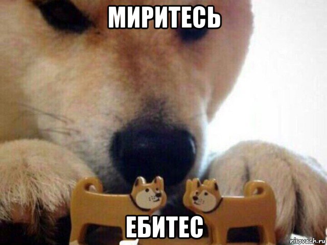 миритесь ебитес, Мем А теперь целуйтесь