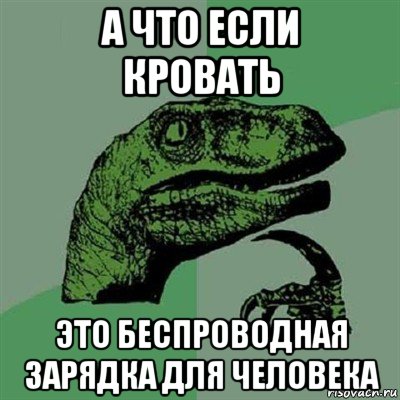 а что если кровать это беспроводная зарядка для человека, Мем Филосораптор