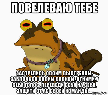 повелеваю тебе застрелись своим выстрелом, заблочься своим блоком, отними у себя голос, переведи себя на себя, защити от ас своей команды...