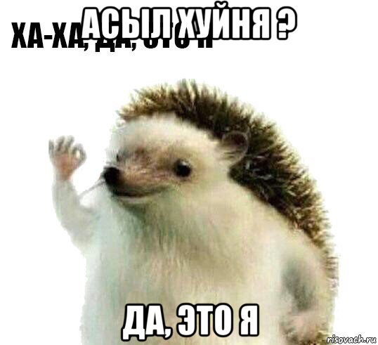 асыл хуйня ? да, это я, Мем Ха-ха да это я