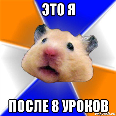 это я после 8 уроков