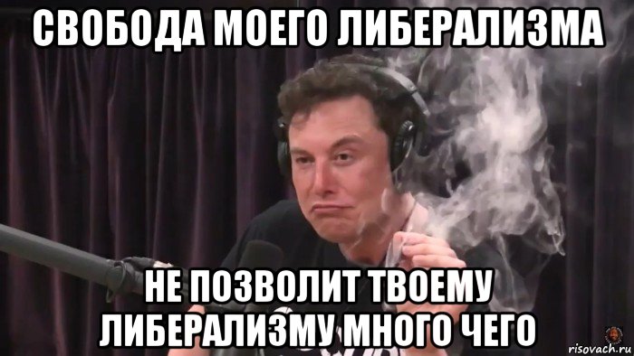 свобода моего либерализма не позволит твоему либерализму много чего, Мем Илон Маск