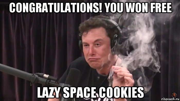 congratulations! you won free lazy space cookies, Мем Илон Маск