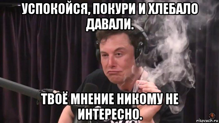 успокойся, покури и хлебало давали. твоё мнение никому не интересно., Мем Илон Маск