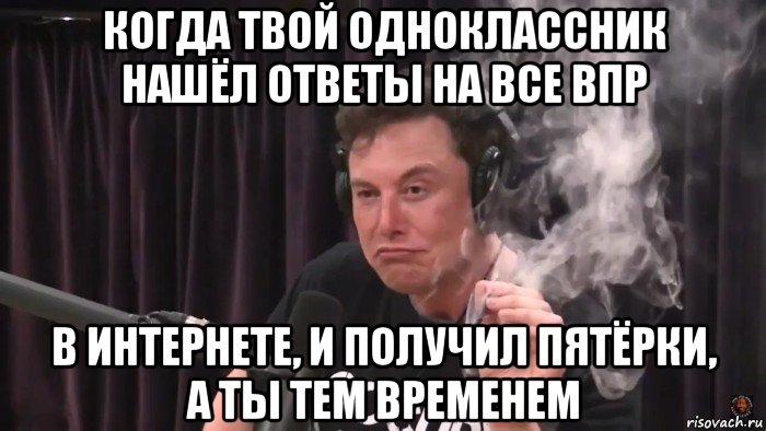 когда твой одноклассник нашёл ответы на все впр в интернете, и получил пятёрки, а ты тем временем, Мем Илон Маск