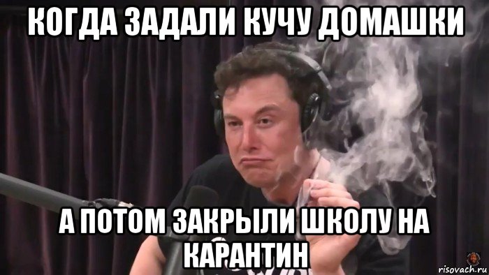 когда задали кучу домашки а потом закрыли школу на карантин, Мем Илон Маск