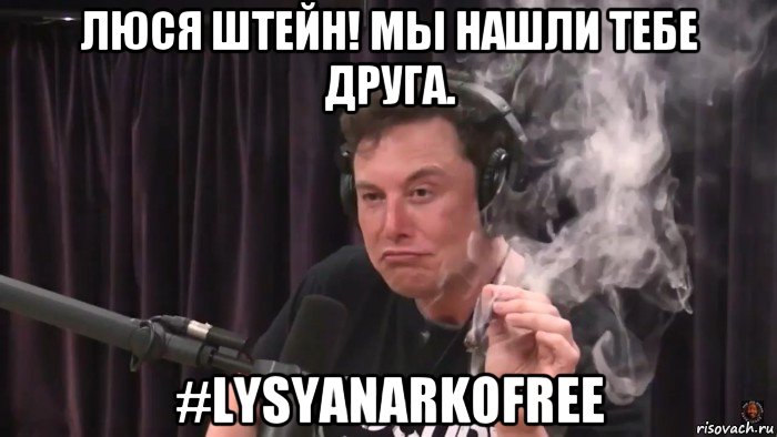 люся штейн! мы нашли тебе друга. #lysyanarkofree, Мем Илон Маск