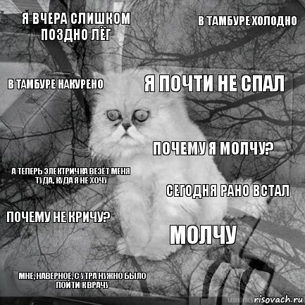 Я вчера слишком поздно лёг сегодня рано встал я почти не спал Мне, наверное, с утра нужно было пойти к врачу А теперь электричка везёт меня туда, куда я не хочу В тамбуре холодно Молчу В тамбуре накурено почему не кричу? Почему я молчу?, Комикс  кот безысходность