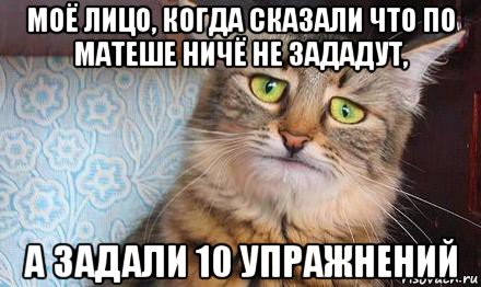 моё лицо, когда сказали что по матеше ничё не зададут, а задали 10 упражнений