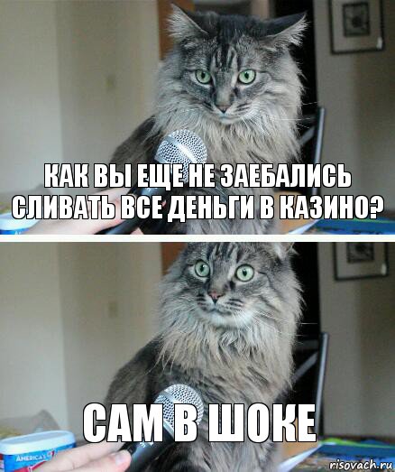 Как вы еще не заебались сливать все деньги в казино? Сам в шоке, Комикс  кот с микрофоном