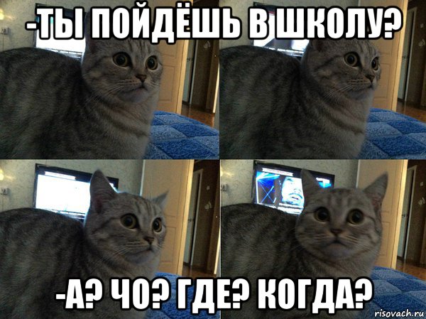 -ты пойдёшь в школу? -а? чо? где? когда?