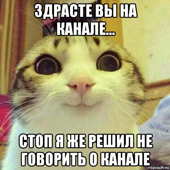 здрасте вы на канале... стоп я же решил не говорить о канале, Мем       Котяка-улыбака