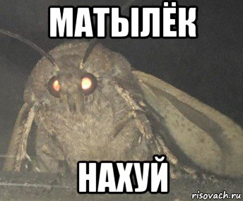 матылёк нахуй, Мем Матылёк