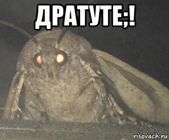 дратуте;! 