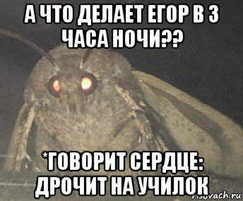 а что делает егор в 3 часа ночи?? *говорит сердце: дрочит на училок, Мем Матылёк