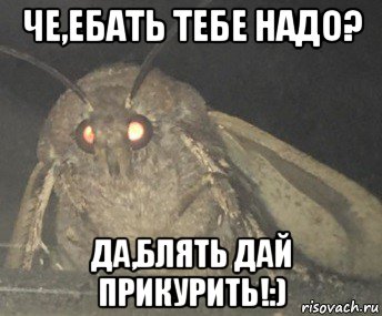 че,ебать тебе надо? да,блять дай прикурить!:), Мем Матылёк