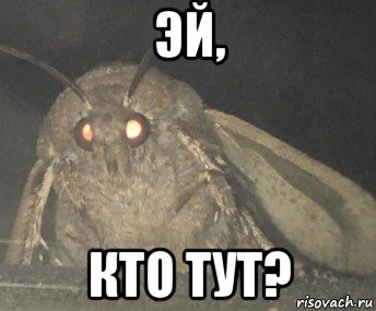 эй, кто тут?, Мем Матылёк