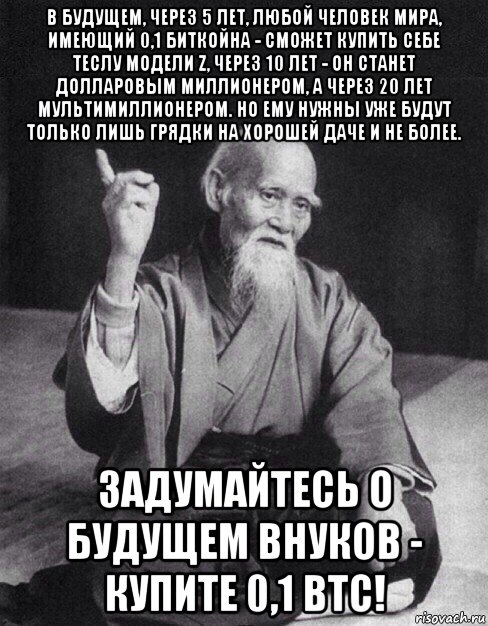 в будущем, через 5 лет, любой человек мира, имеющий 0,1 биткойна - сможет купить себе теслу модели z, через 10 лет - он станет долларовым миллионером, а через 20 лет мультимиллионером. но ему нужны уже будут только лишь грядки на хорошей даче и не более. задумайтесь о будущем внуков - купите 0,1 btc!, Мем Монах-мудрец (сэнсей)