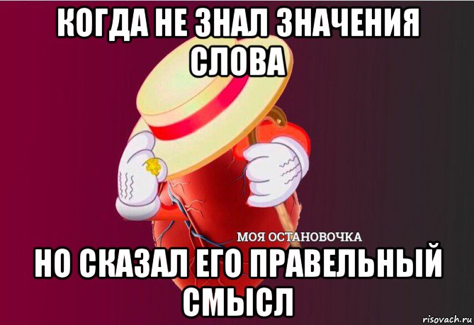 когда не знал значения слова но сказал его правельный смысл, Мем   Моя остановочка