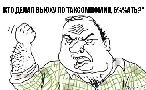 Кто делал вьюху по таксомномии, б%%ать?", Комикс Мужик блеать