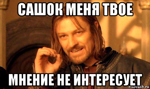 сашок меня твое мнение не интересует, Мем Нельзя просто так взять и (Боромир мем)