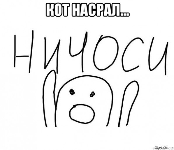 кот насрал... , Мем  Ничоси