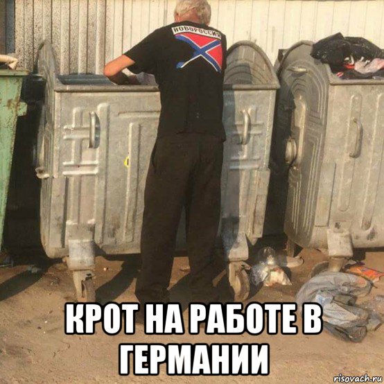  крот на работе в германии