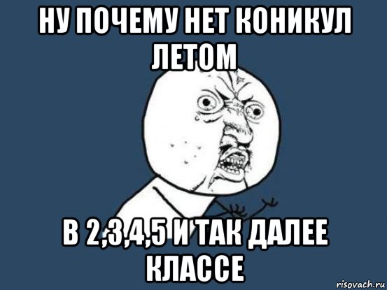 ну почему нет коникул летом в 2,3,4,5 и так далее классе, Мем Ну почему