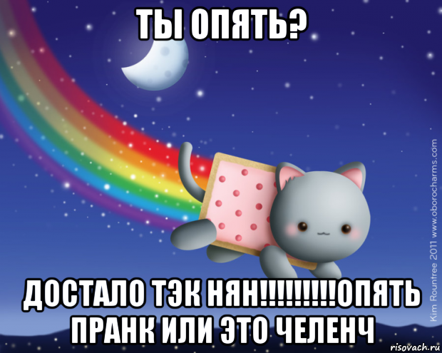 ты опять? достало тэк нян!!!!!!!!!опять пранк или это челенч