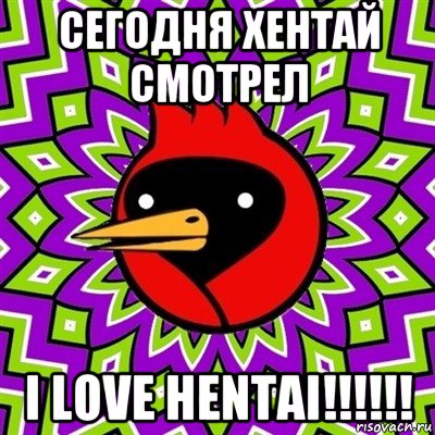 сегодня хентай смотрел i love hentai!!!!!!, Мем Омская птица