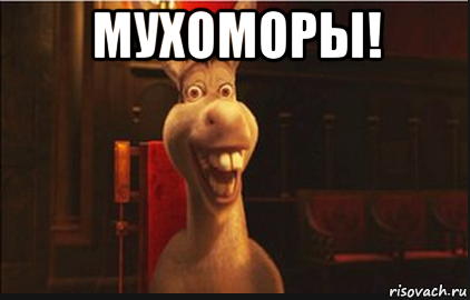 мухоморы! 